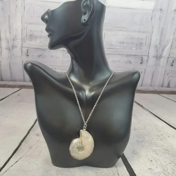 Ammonite Fossil Shell with Silver Plating - Picture 11 of 15